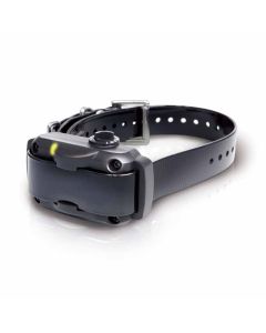 Dogtra YS600 Rechargeable Bark Control Collar