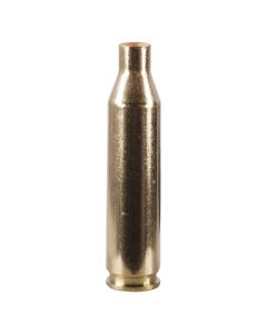 Winchester Unprimed Brass Cases 243 WIN - 50 Pack (Large Rifle Primer)